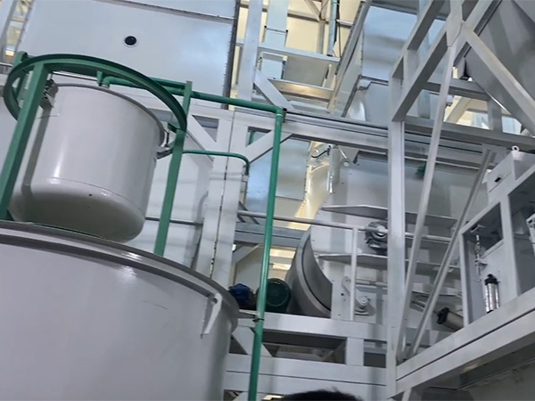 保育全价-牛13金豆子