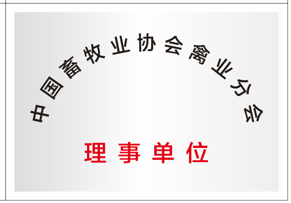 资质荣誉 